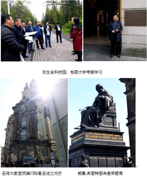 1494895054782037.jpg 1494814397736503.jpg